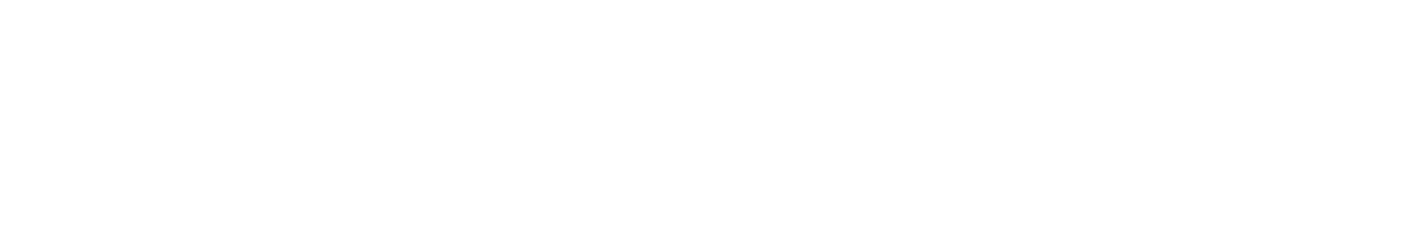Novus Timing Products